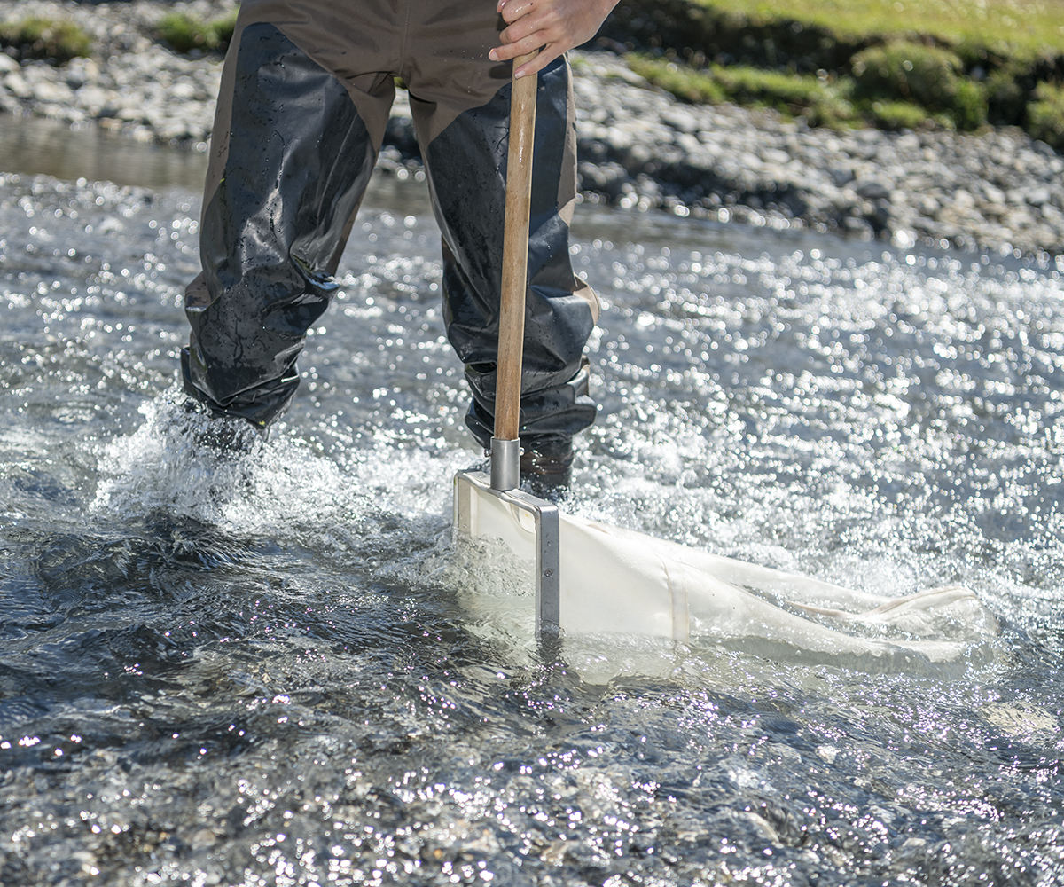Die Biologin steht in Fischerstiefeln im reissenden Wasser des Bergbaches und entnimmt mit einem speziellen Kescher eine Probe vom Gewässergrund. 