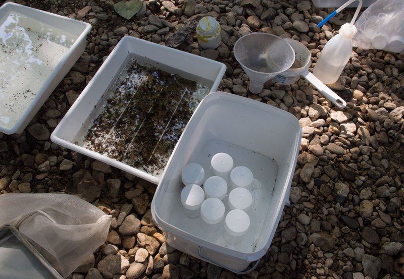 Eine Nahaufnahme der Plastikschalen und der mit Fanggut gefüllten Döschen.